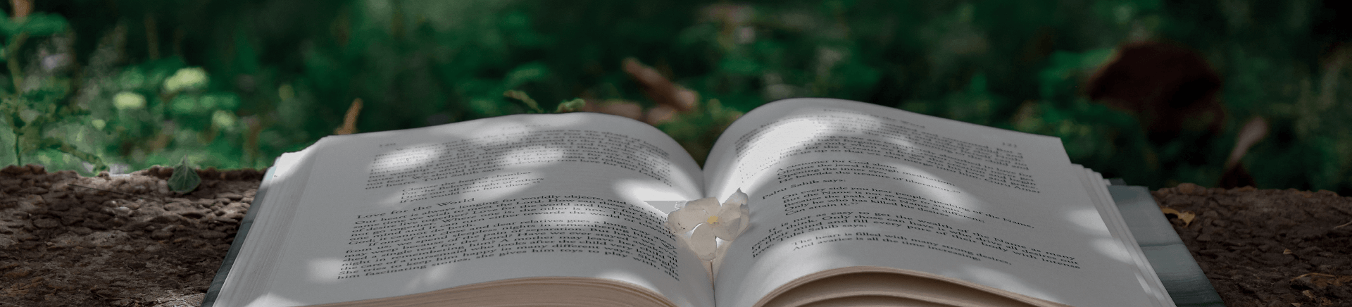 adjektiv, adverb, buch, lernen