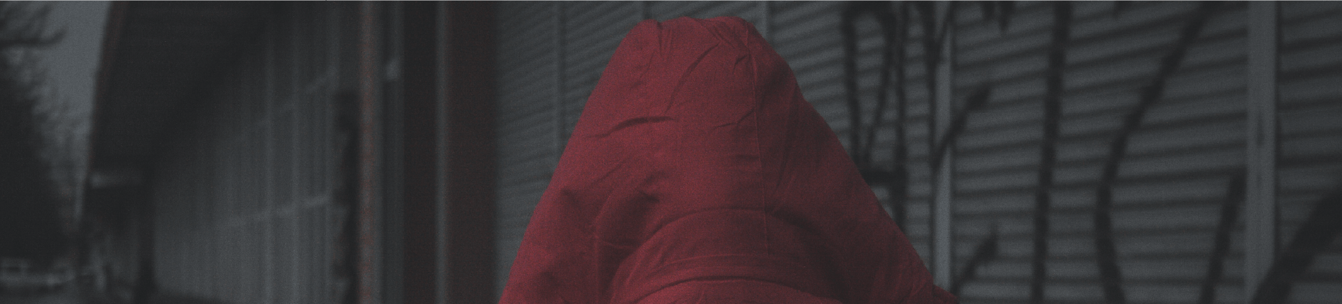 Soziolekt, Geheimsprache, Rotwelsch, 